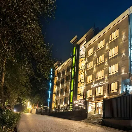 Medalio Boutique Gangtok With Mountain View-2